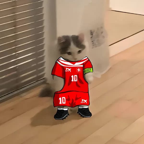 soccer football euro sports switzerland