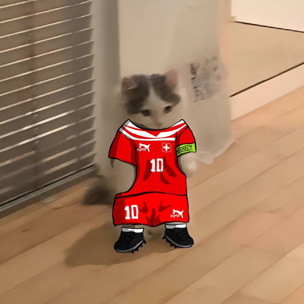 soccer football euro sports switzerland