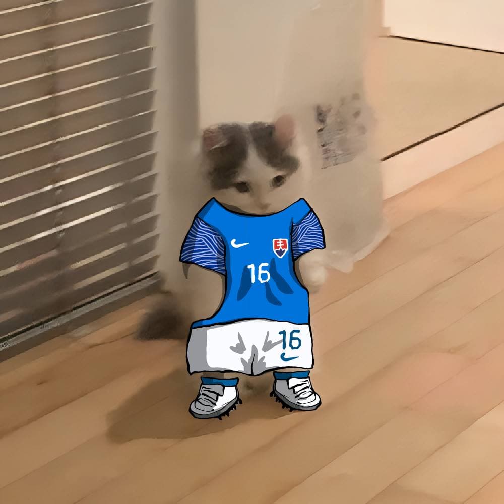 soccer football euro sports slovakia