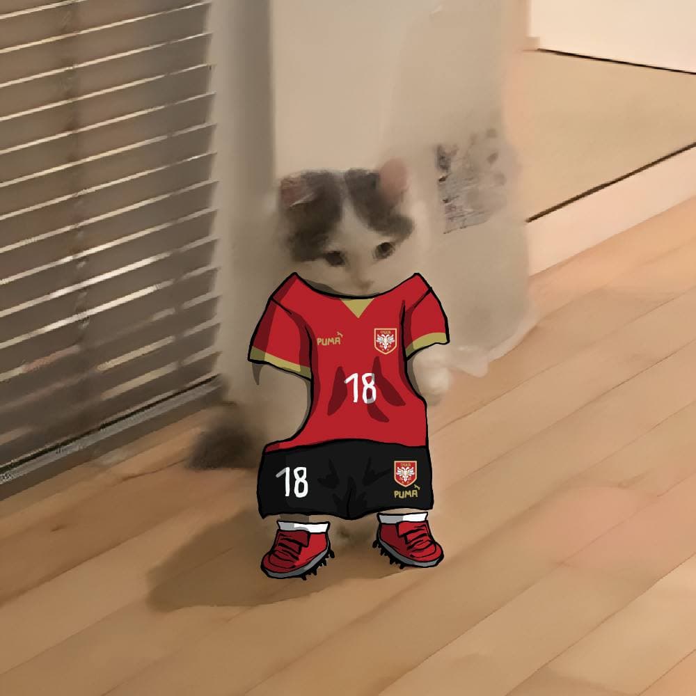 soccer football euro sports serbia