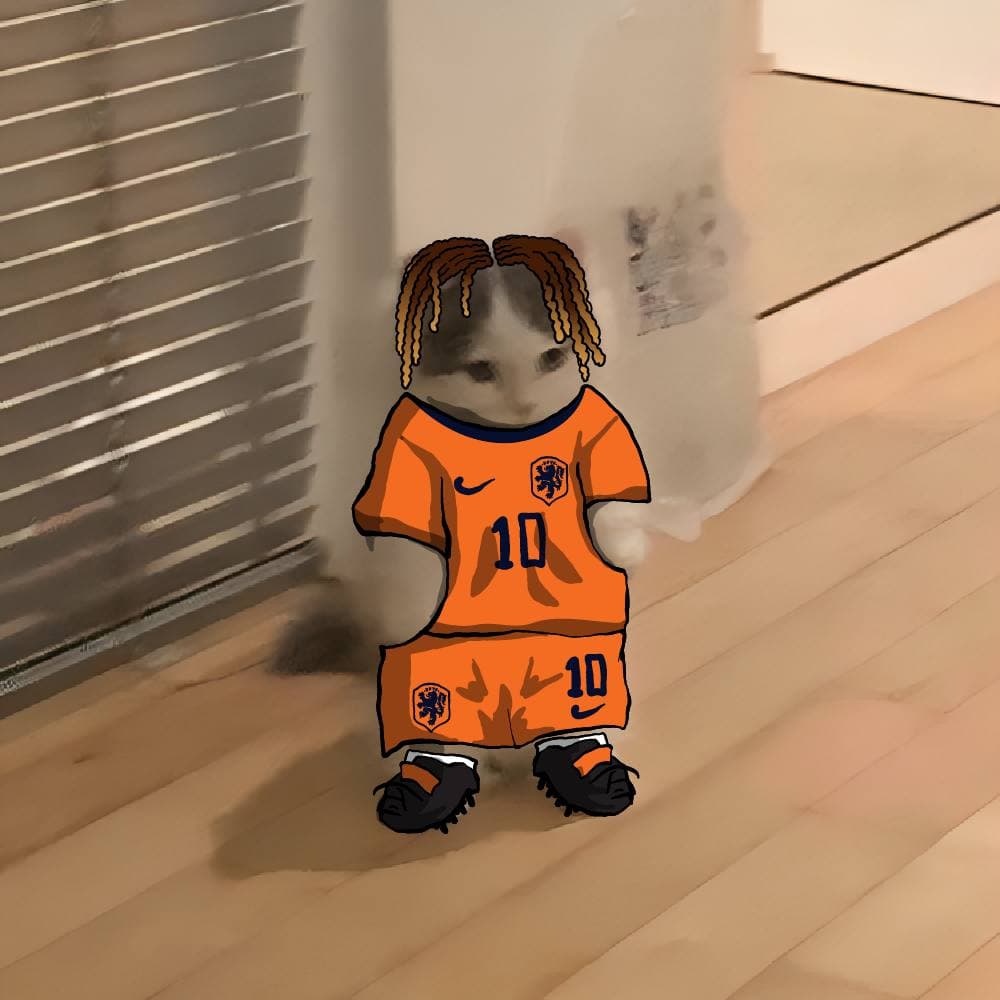 soccer football euro sports netherlands