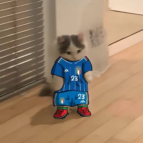 soccer football euro sports italy