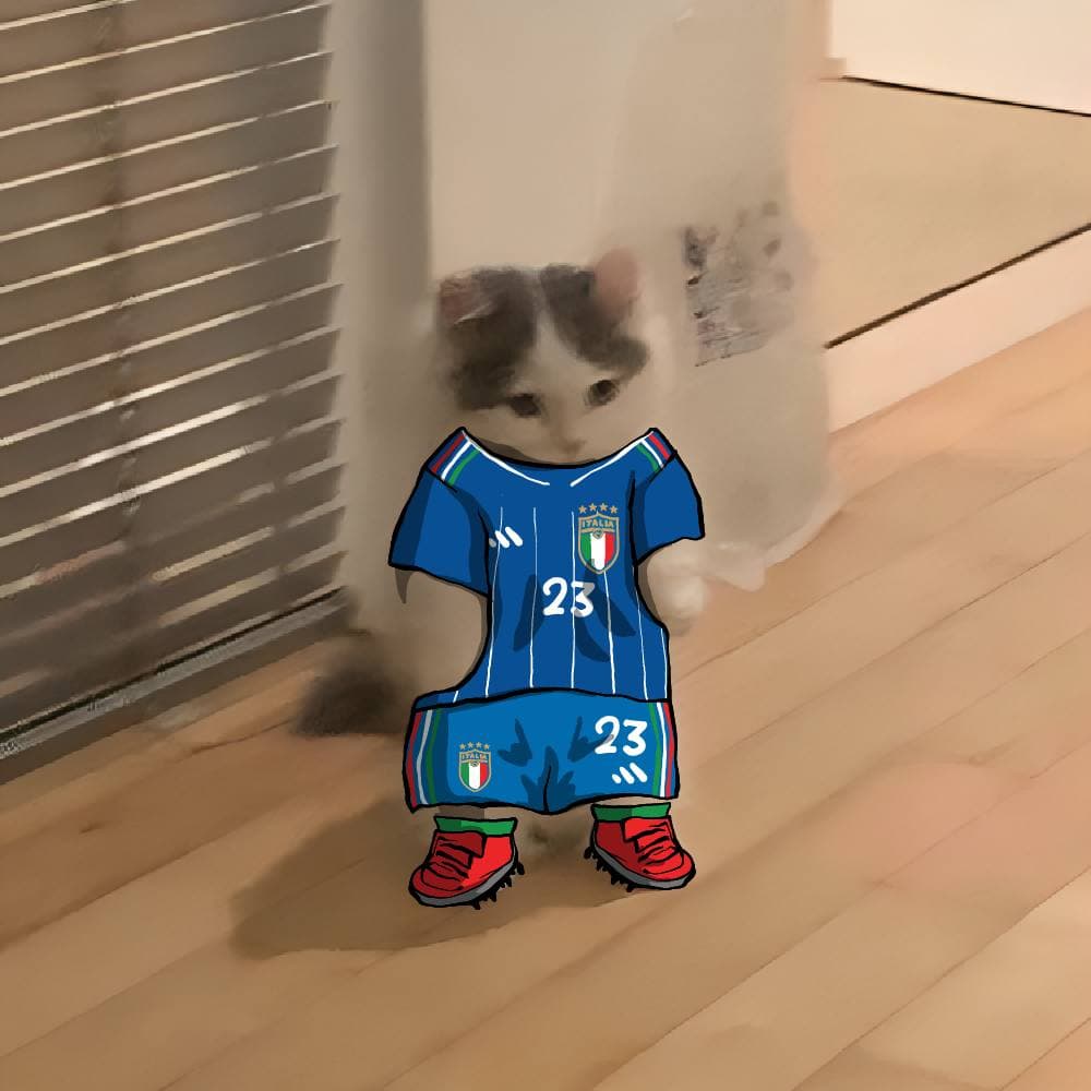 soccer football euro sports italy