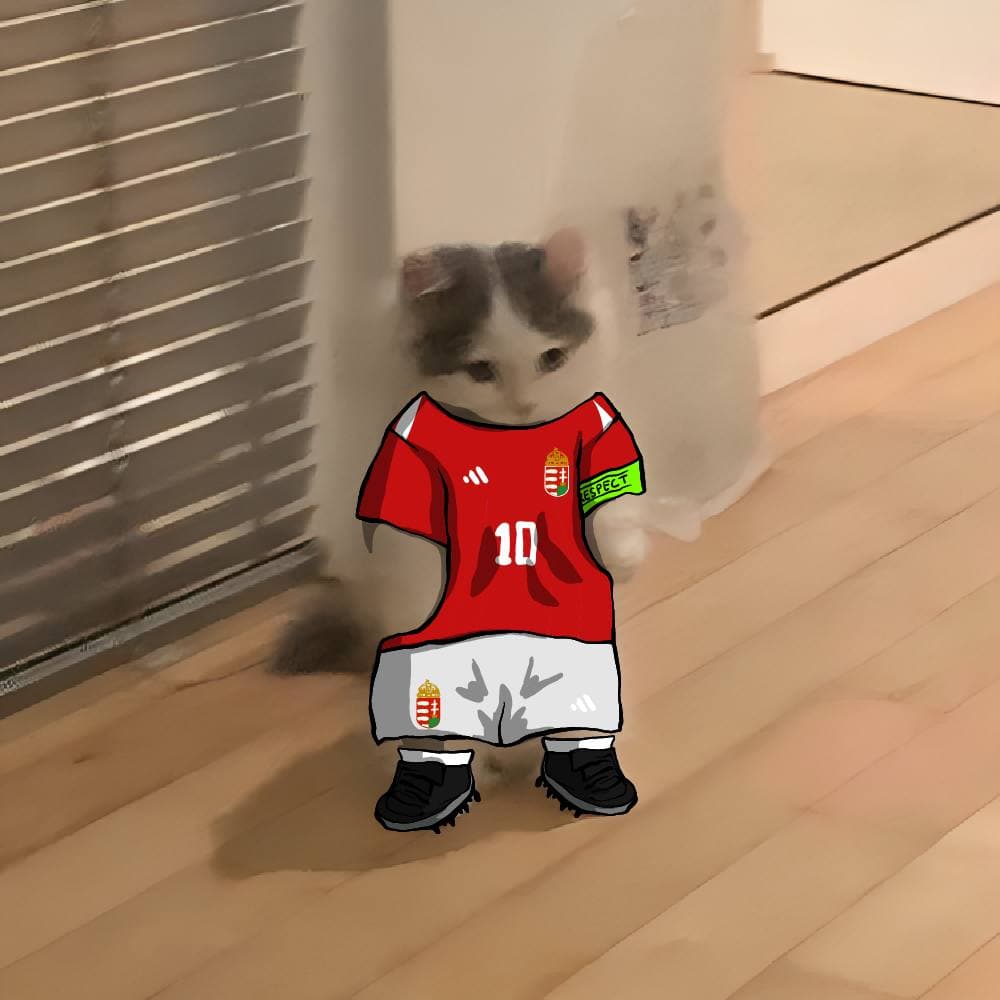 soccer football euro sports hungary