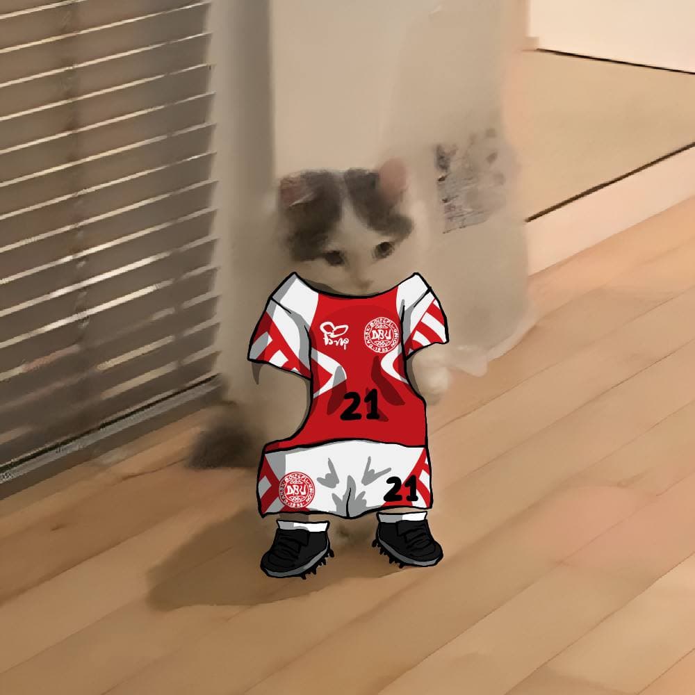 soccer football euro sports denmark