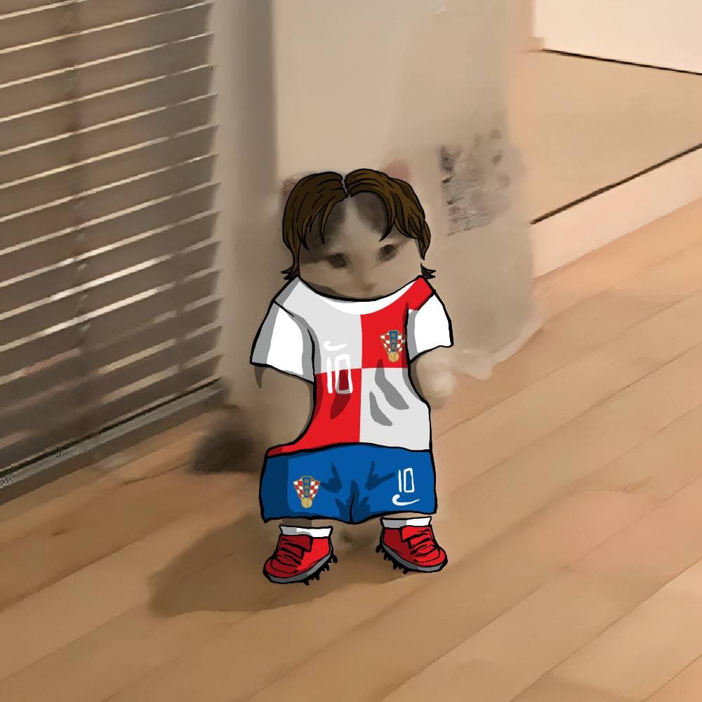 soccer football euro sports croatia