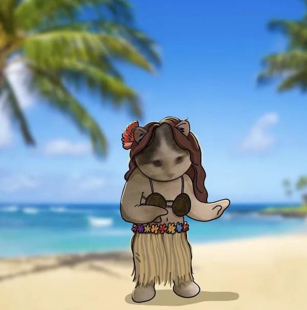 hawaii sunshine beach