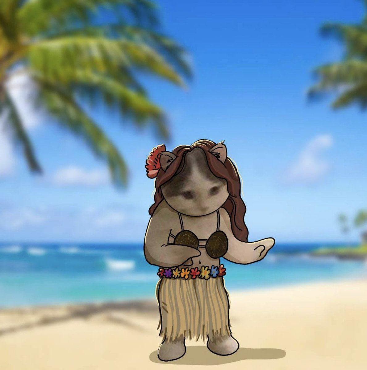 hawaii sunshine beach