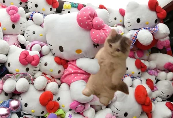 hellokitty