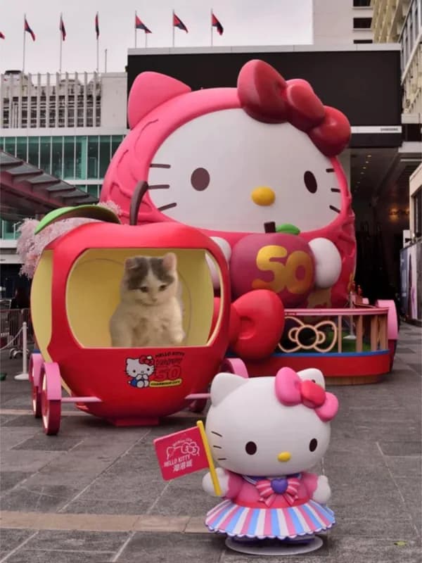 hellokitty