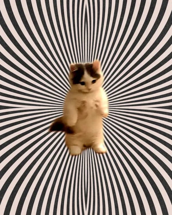 hypno hypnotize