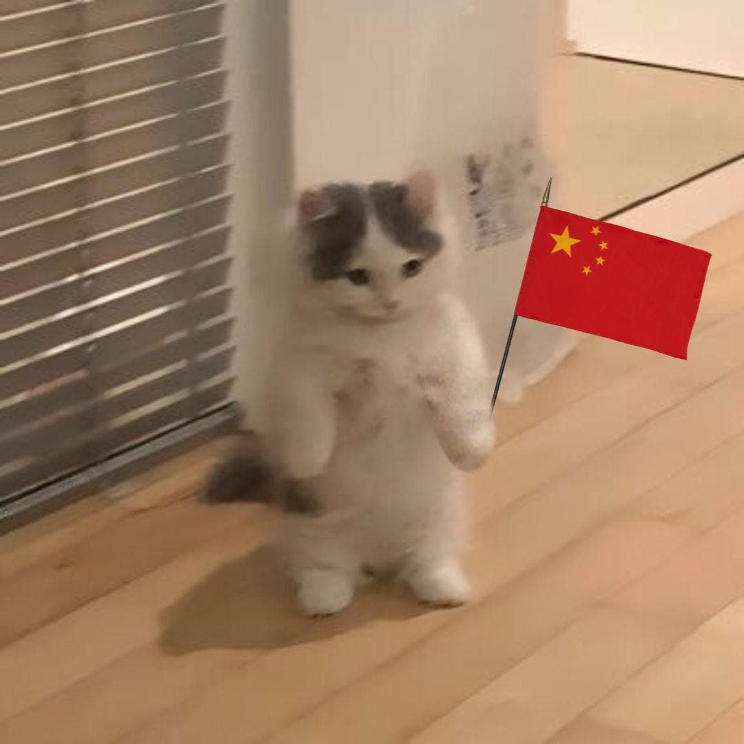 china flag