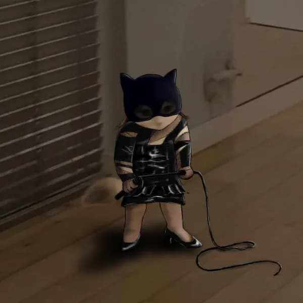 catwoman cat woman whip dc