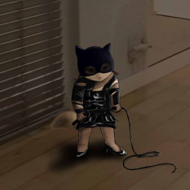catwoman cat woman whip dc