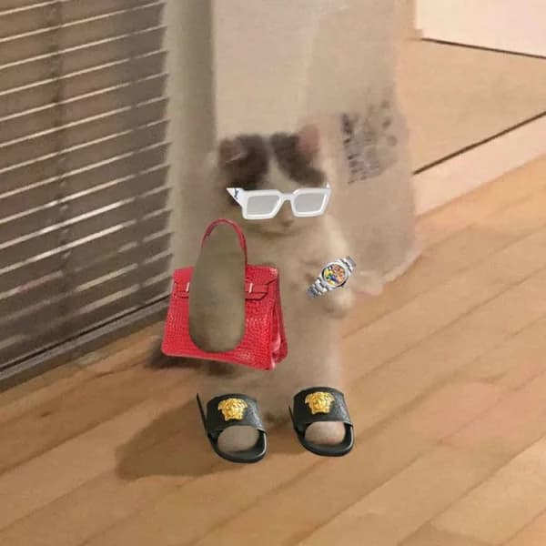 birkin hermes versace sunglasses watch fancy girly