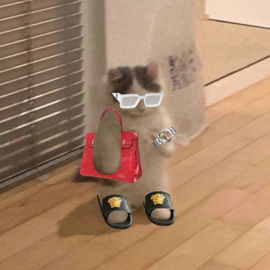 birkin hermes versace sunglasses watch fancy girly