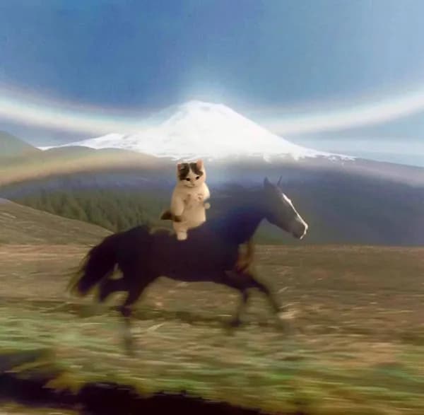 free horse funny