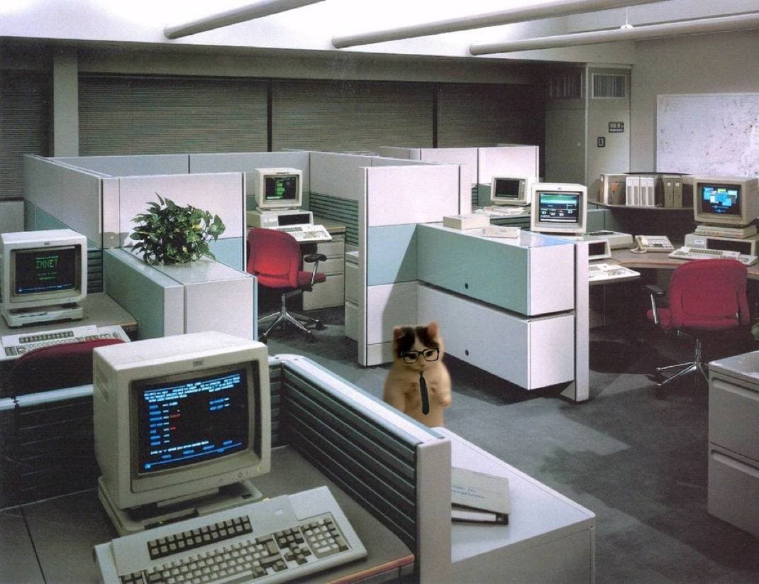 work office tie mood vibe