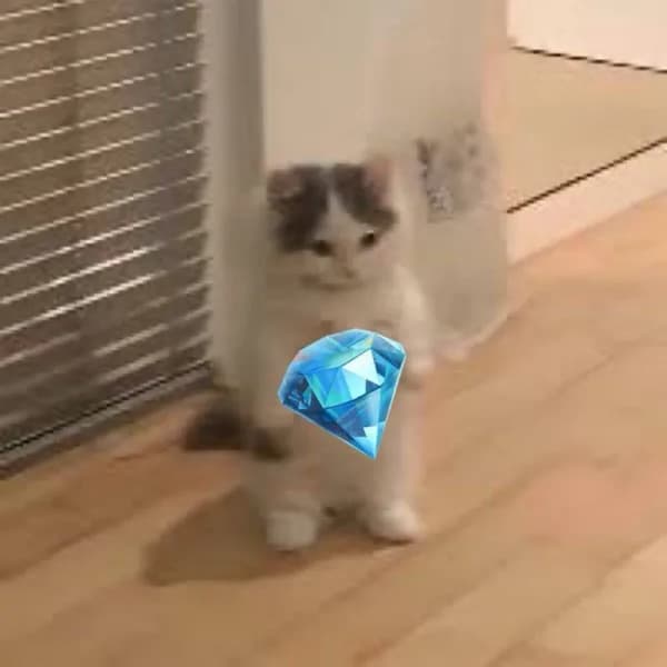 diamond hold hodl