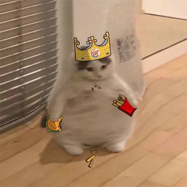 fat thic burger king fries funny big