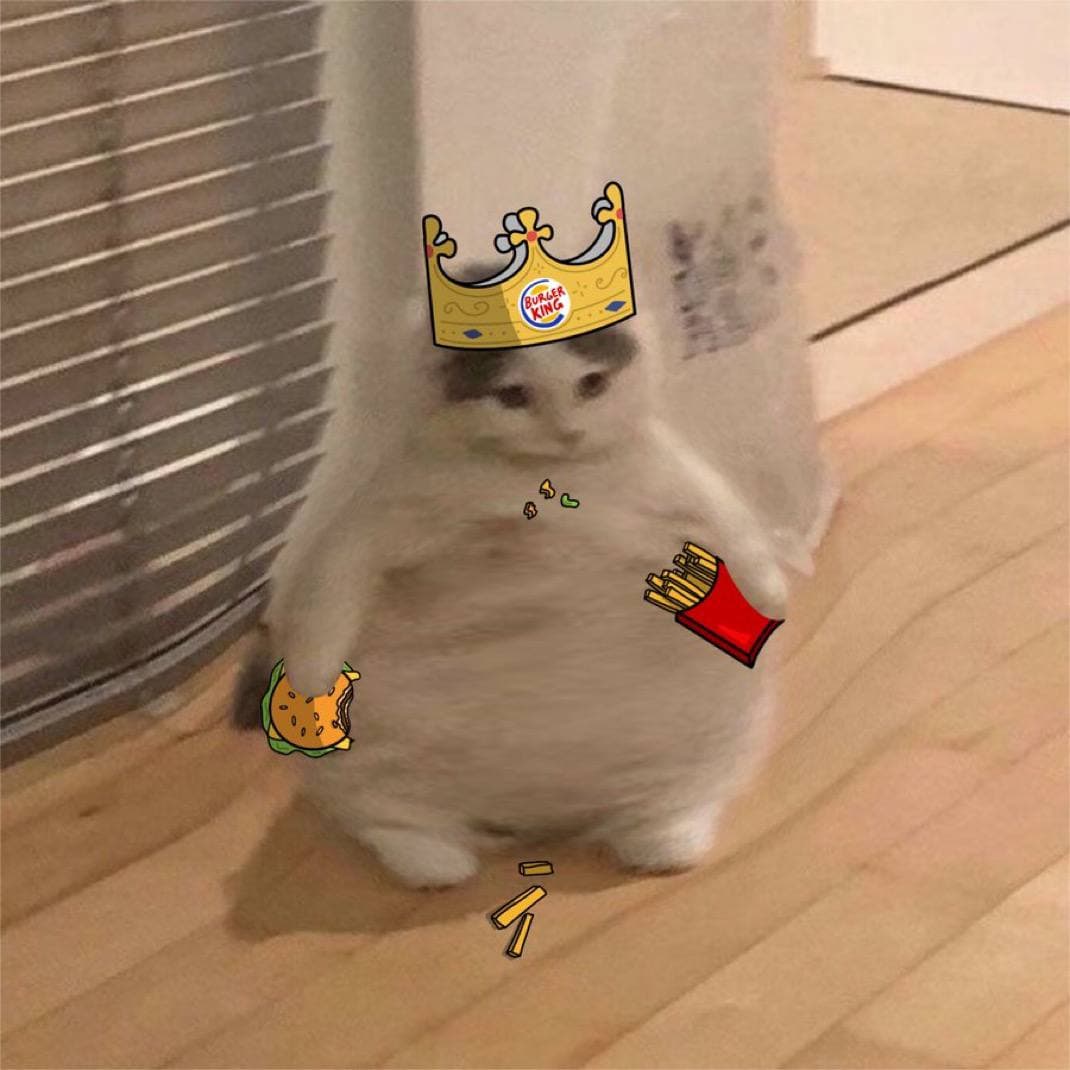 fat thic burger king fries funny big