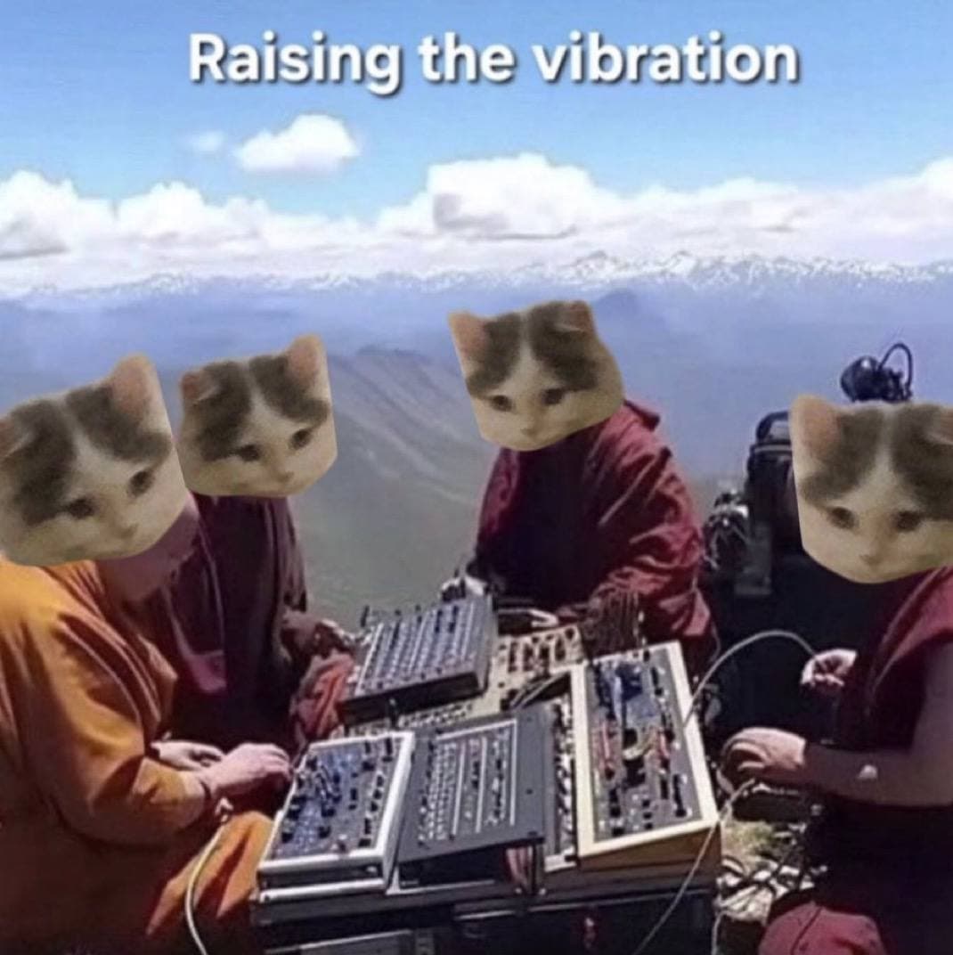 raise vibration up group gang cult