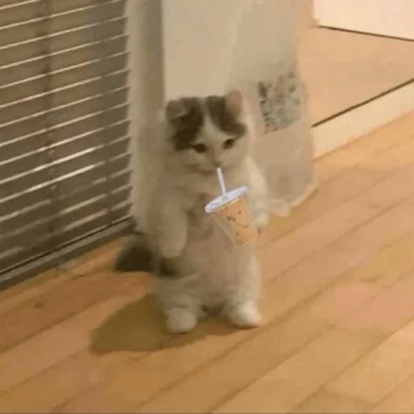 boba drink milk tea