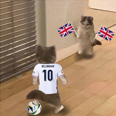 soccer football uk england bellingham real madrid euro