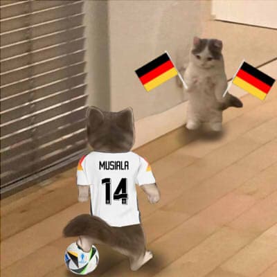 soccer football musiala germany euro