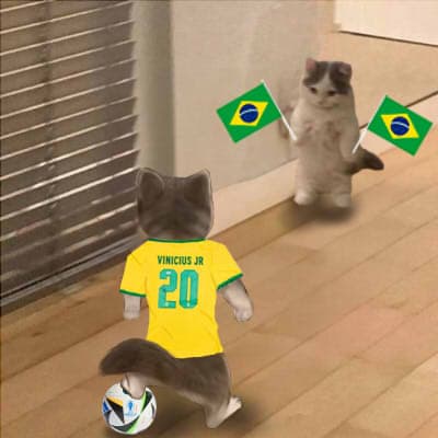 soccer football vinicius brazil euro