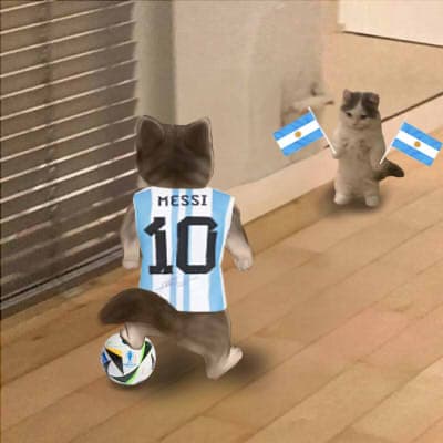 soccer football messi argentina euro