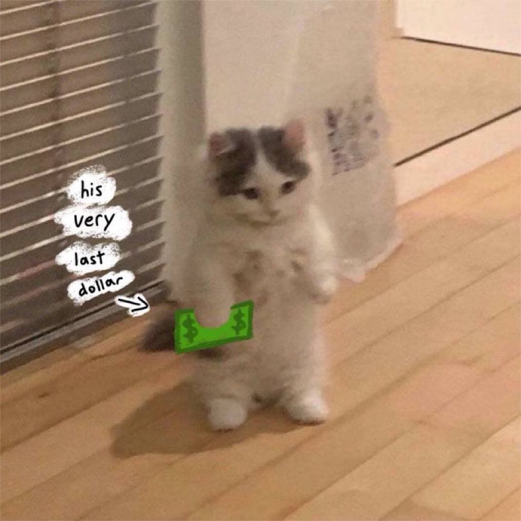 last dollar money buy dip