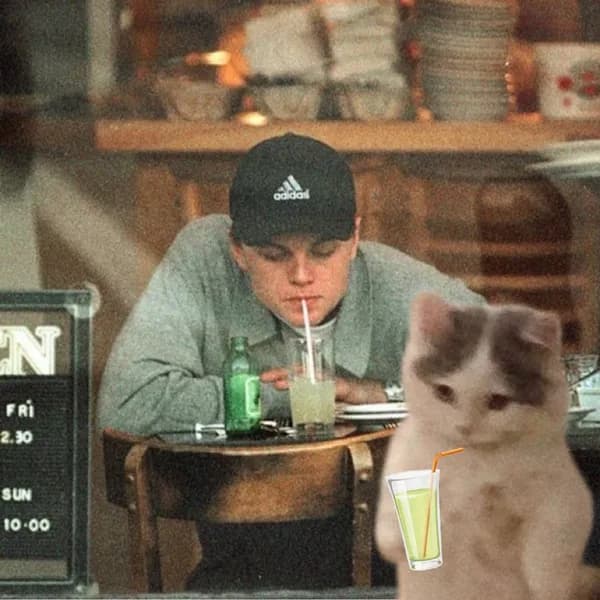 leonardo celebrity drink lemonade soda hat