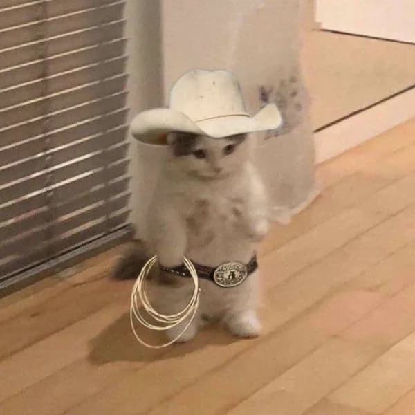 cowboy rope hat western