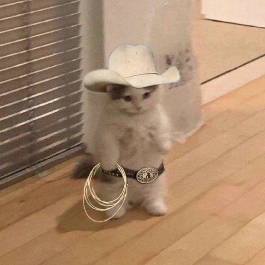 cowboy rope hat western