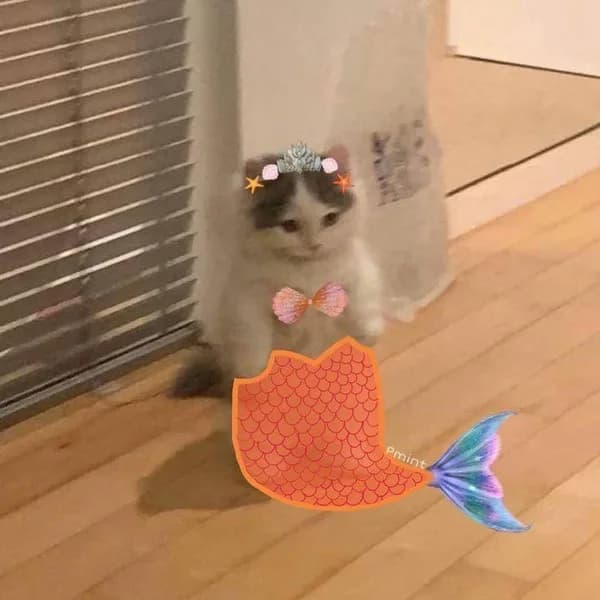 cute mermaid girly