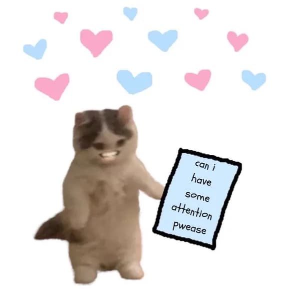 cute funny attention heart love