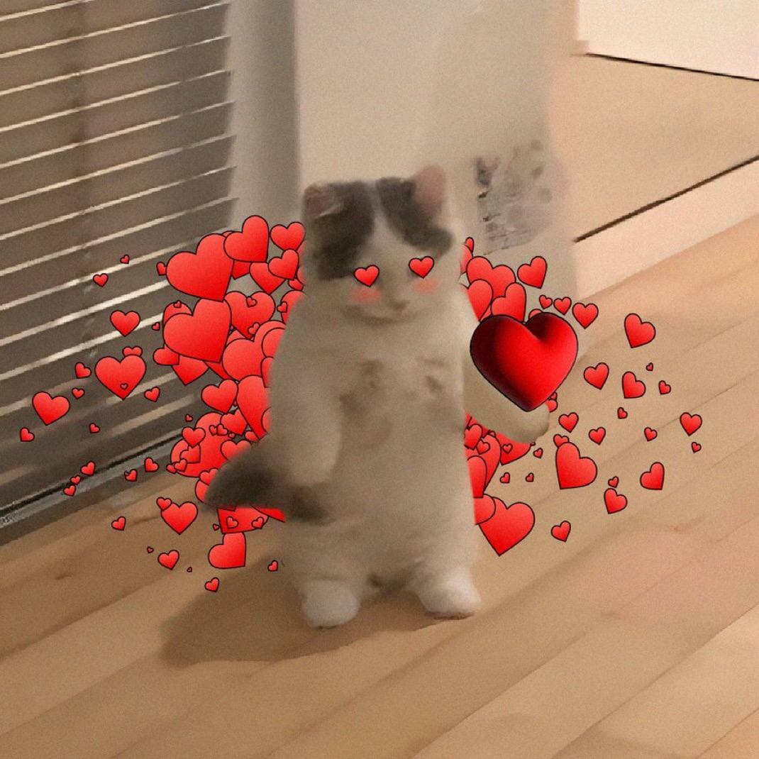 love cute girly heart