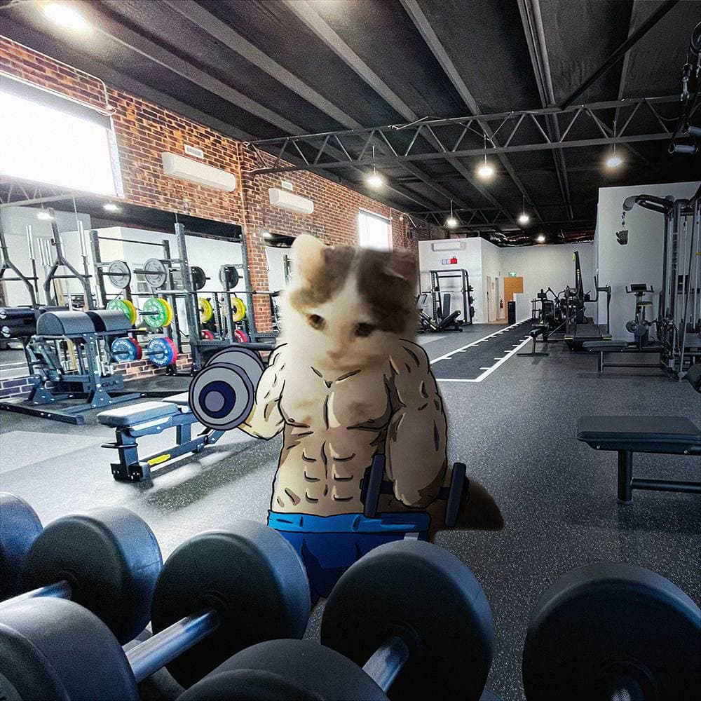 gym workout wagmichi gmichi weights lift