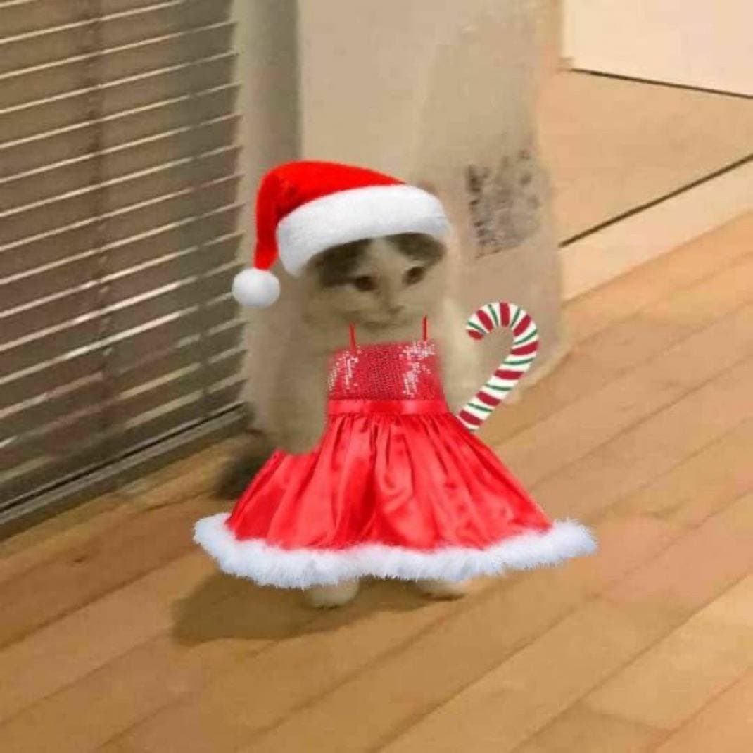 christmas xmas hat cute girly candycane