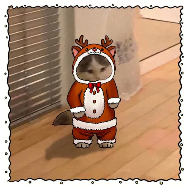 christmas xmas advent cute reindeer