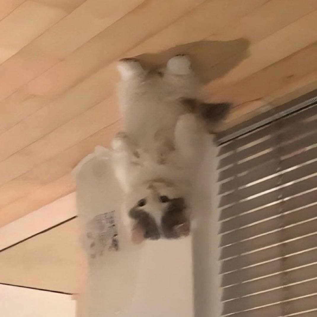 funny cute upsidedown inverse