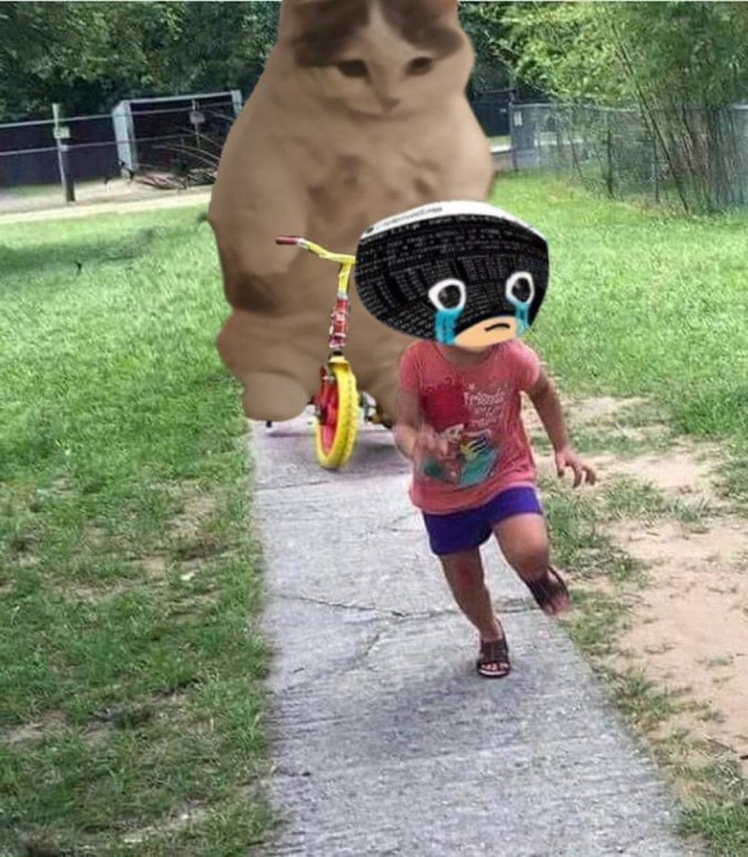 funny notsofast bike chase