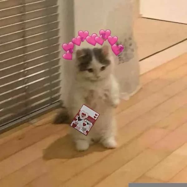 cute girly love hearts