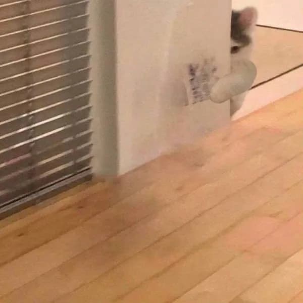 cute hide gmichi sneak