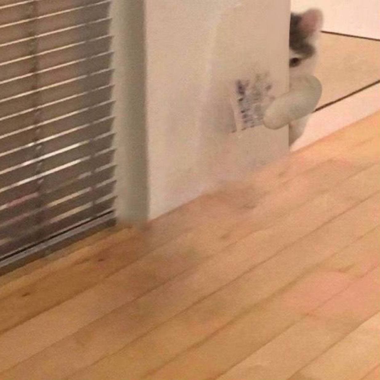 cute hide gmichi sneak