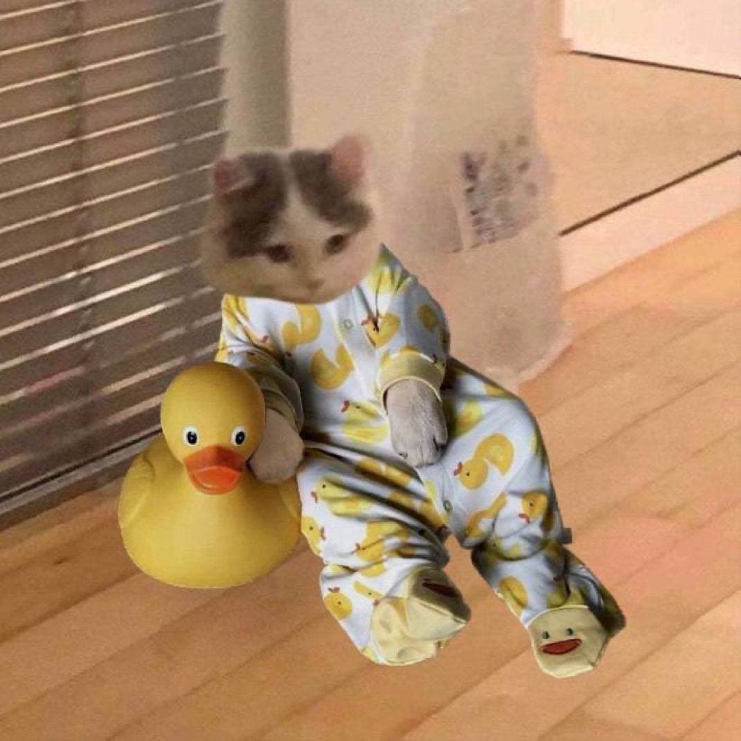 duck chill cute mood vibes pajamas pj relax