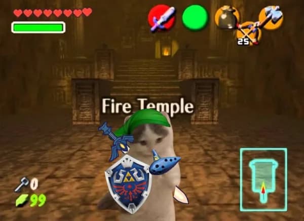 zelda game firetemple cute