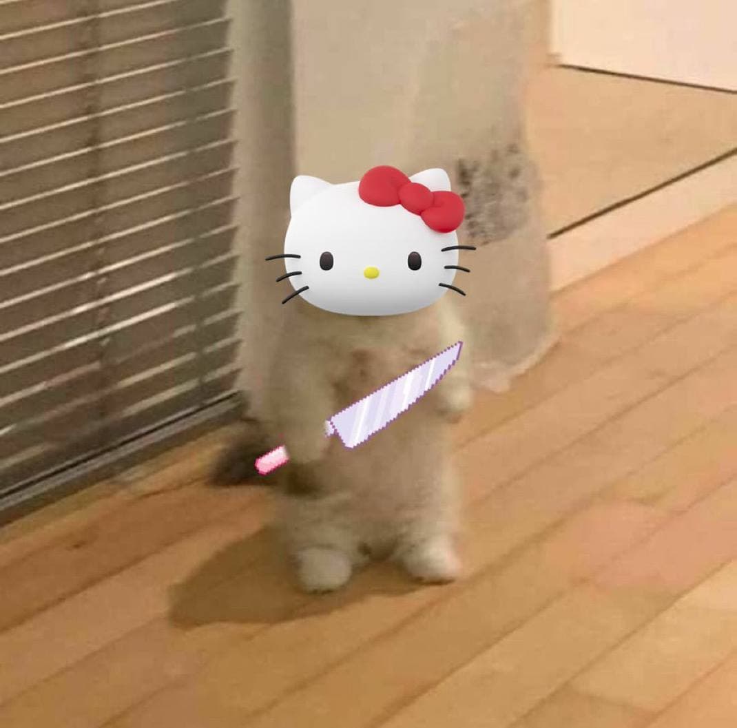 hellokitty girly cute knife