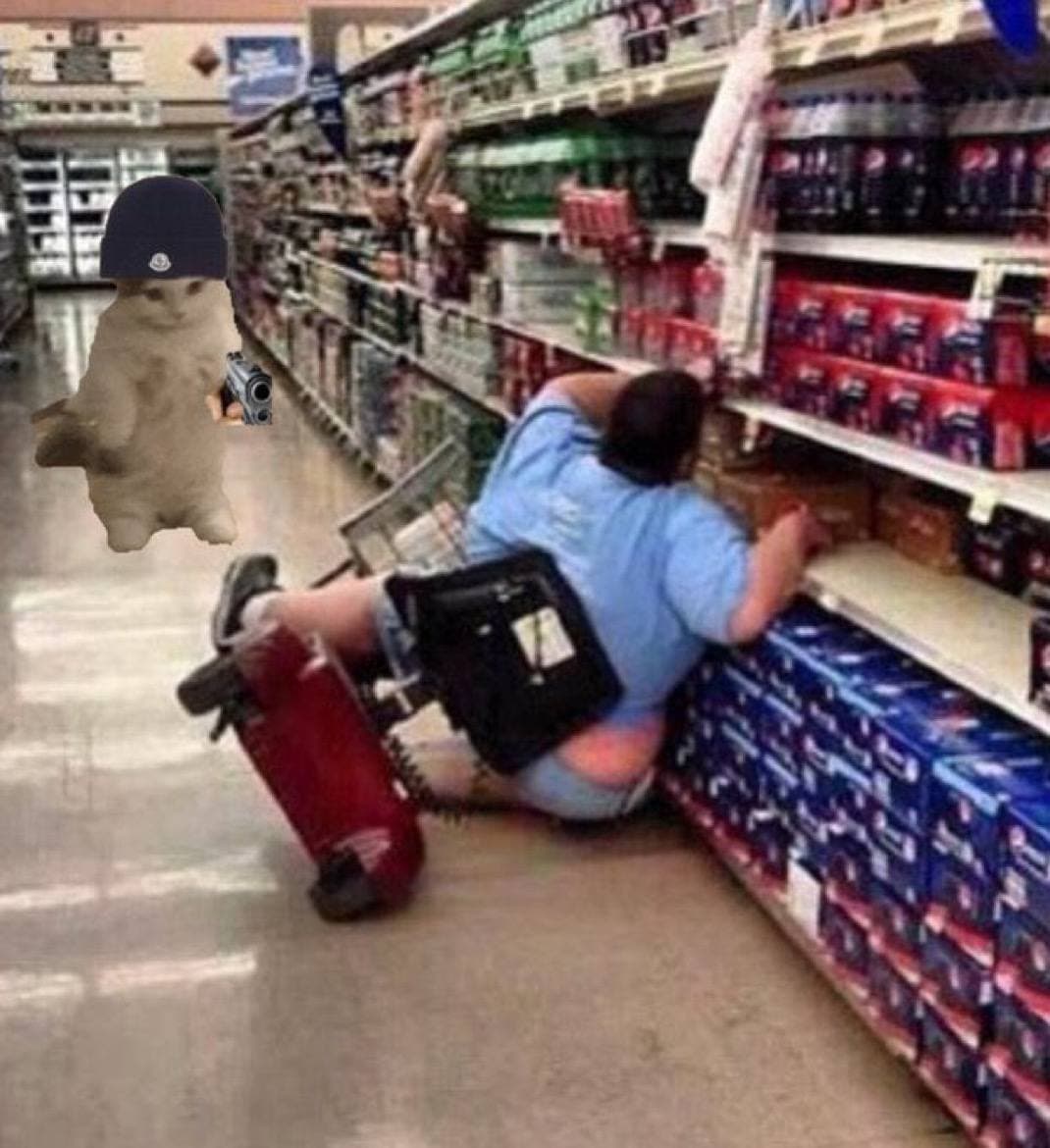 funny fat wheelchair hat supermarket fall big